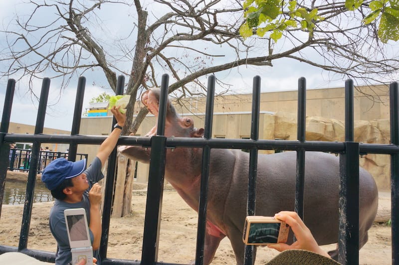 DSC04228.JPG DSC04228.JPG