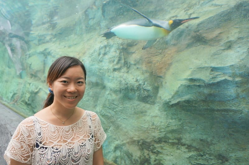 DSC04338.JPG DSC04338.JPG