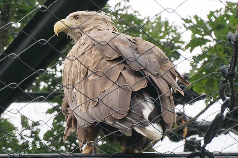 DSC04272.JPG DSC04272.JPG