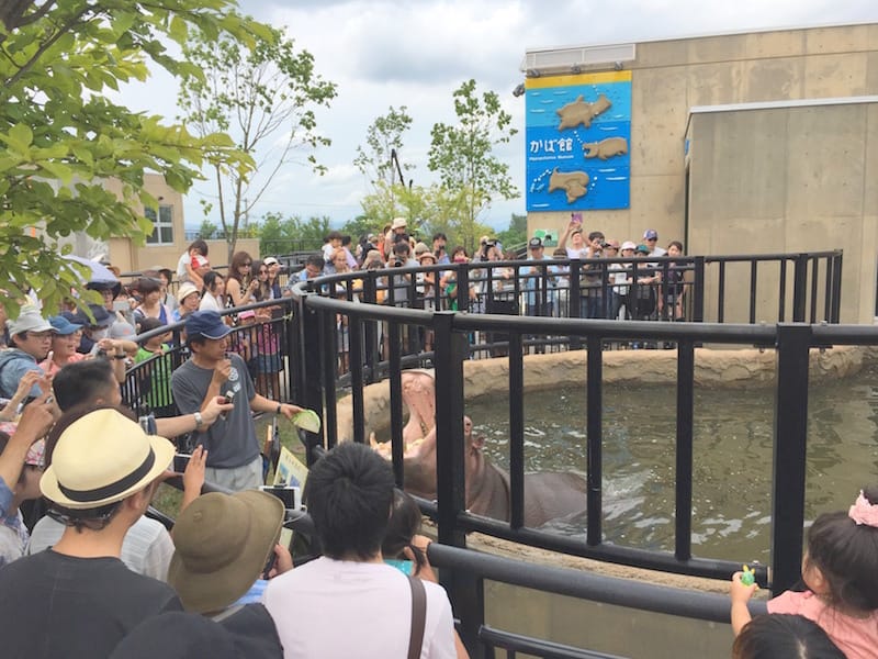 DSC04229(1).jpg DSC04229(1).jpg