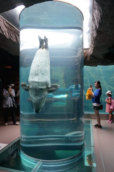 DSC04362.JPG DSC04362.JPG