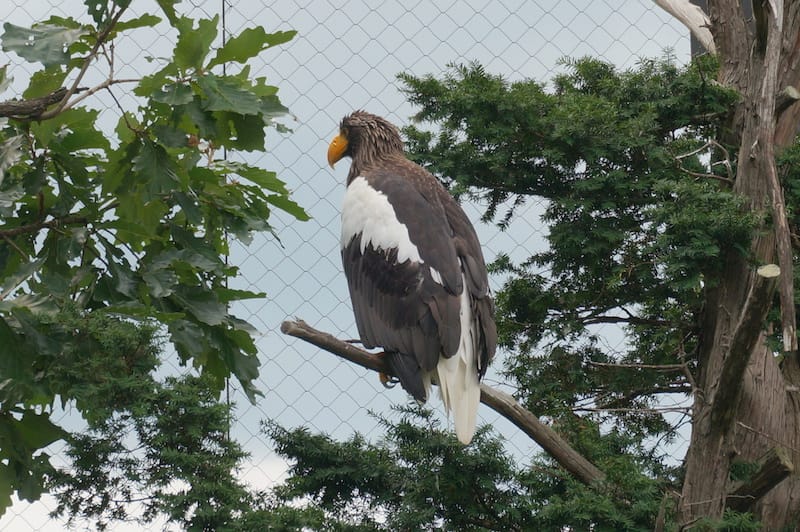 DSC04273.JPG DSC04273.JPG