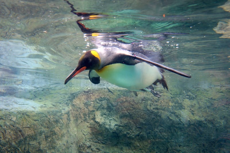 DSC04348.JPG DSC04348.JPG