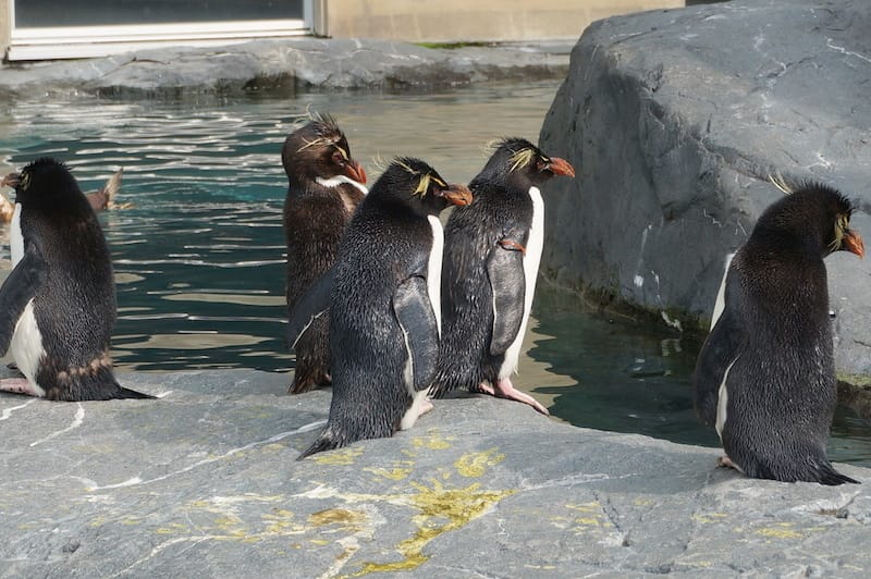 DSC04330.JPG DSC04330.JPG