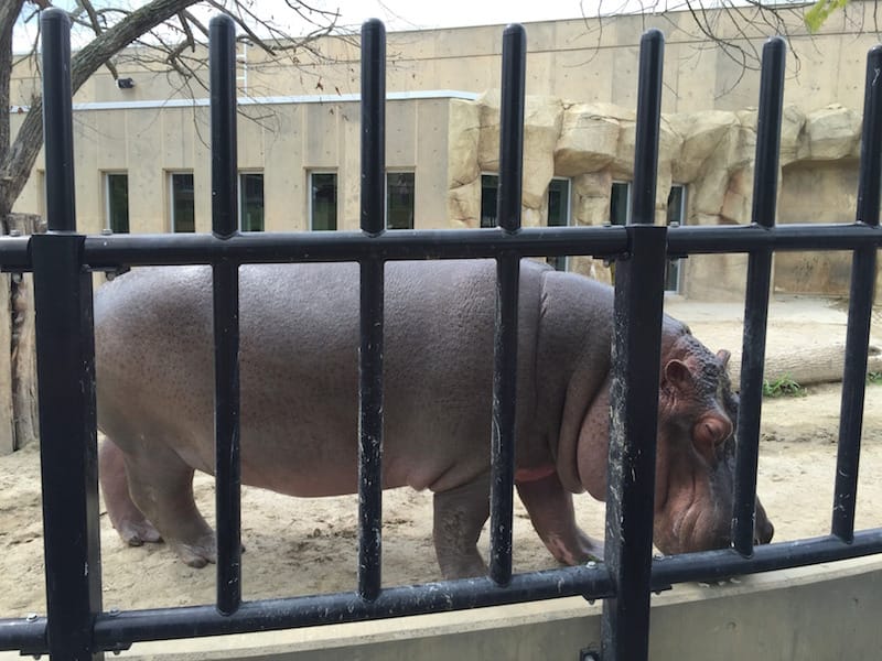 DSC04229(4).jpg DSC04229(4).jpg