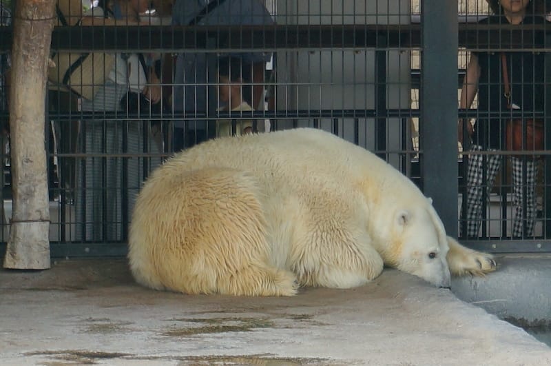 DSC04300.JPG DSC04300.JPG