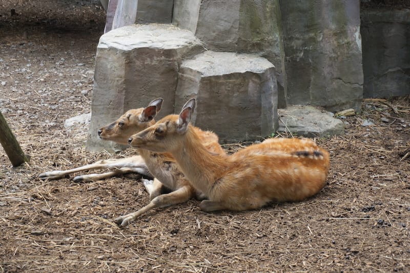 DSC04281.JPG DSC04281.JPG