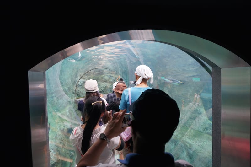 DSC04332.JPG DSC04332.JPG