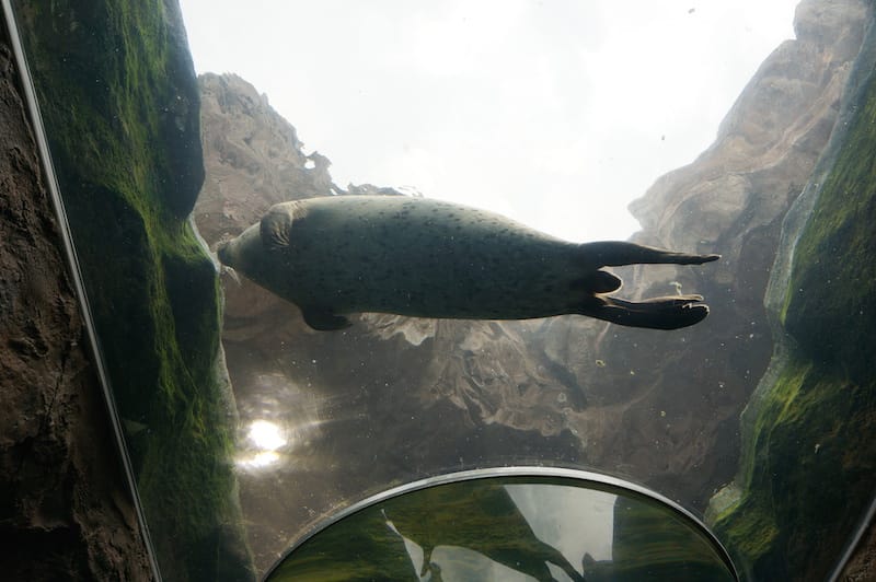 DSC04370(1).JPG DSC04370(1).JPG