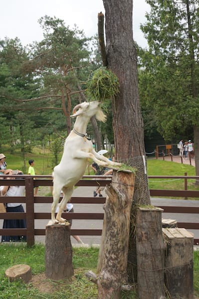 DSC04231.JPG DSC04231.JPG