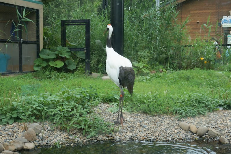 DSC04275.JPG DSC04275.JPG