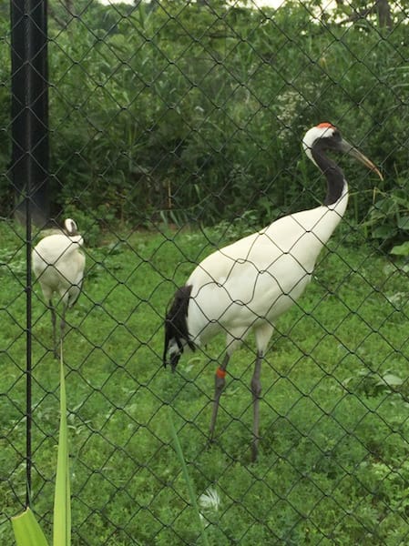 DSC04276.jpg DSC04276.jpg