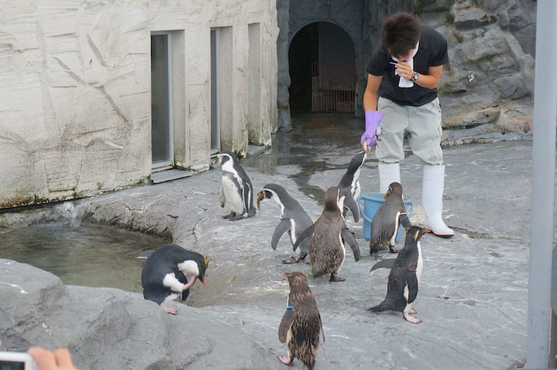 DSC04358.JPG DSC04358.JPG