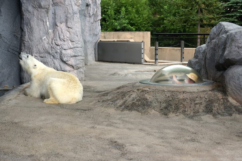 DSC04320.JPG DSC04320.JPG