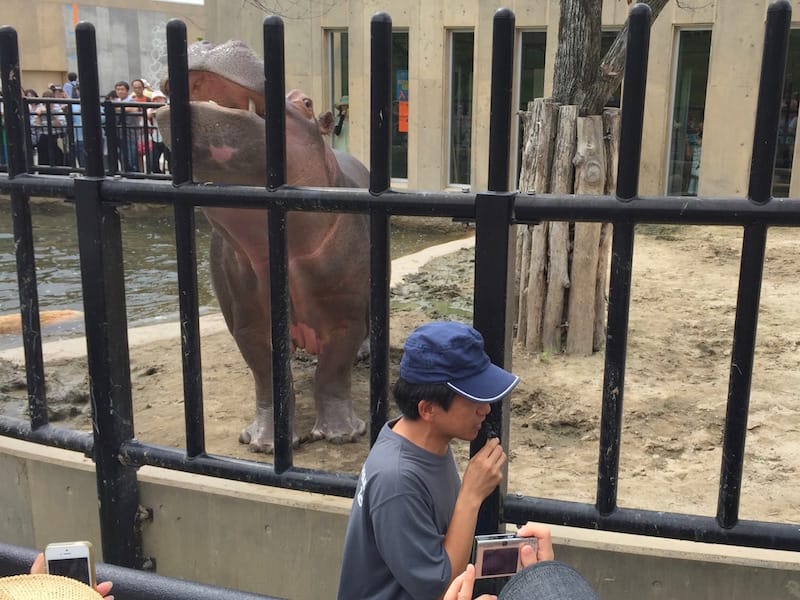 DSC04229(2).jpg DSC04229(2).jpg