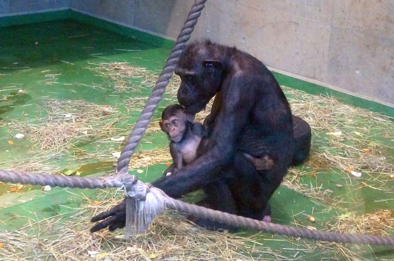 DSC04263.JPG DSC04263.JPG