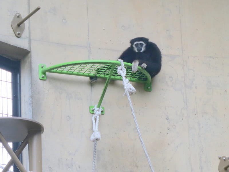 DSC04241.JPG DSC04241.JPG