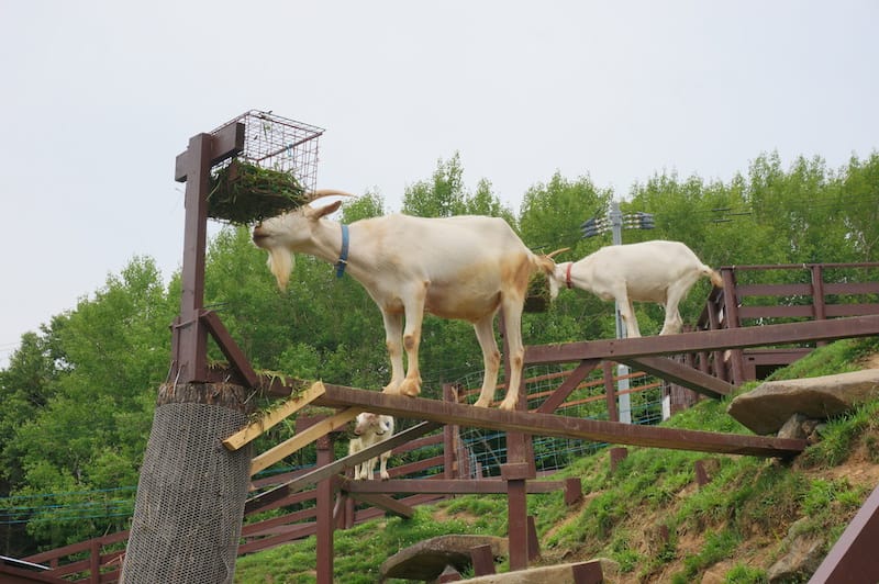 DSC04233.JPG DSC04233.JPG