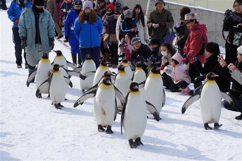 DSC04112.JPG DSC04112.JPG