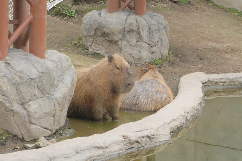 DSC04238.JPG DSC04238.JPG