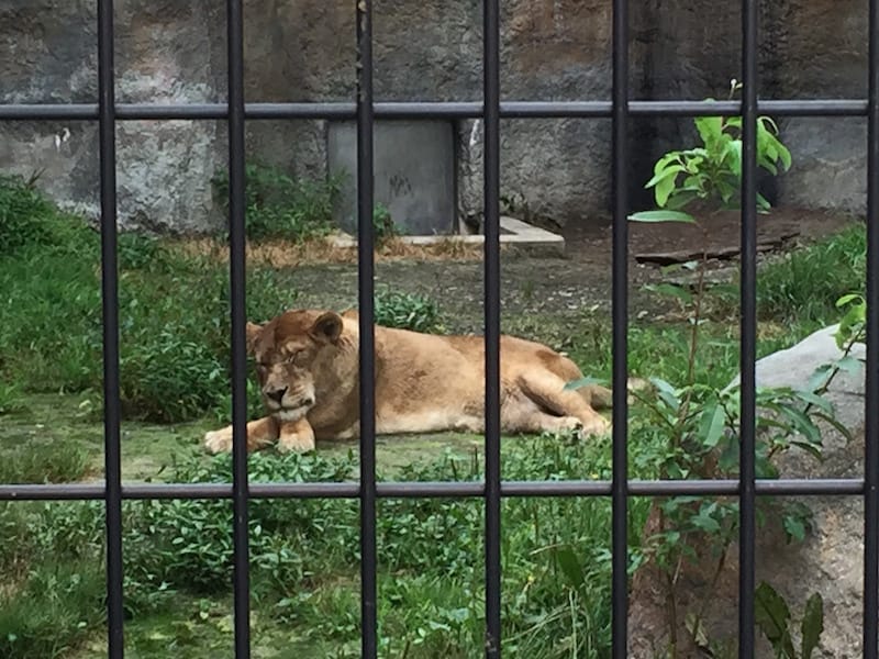 DSC04290(3).jpg DSC04290(3).jpg