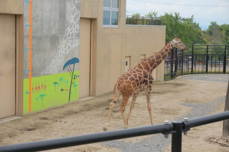 DSC04221.JPG DSC04221.JPG