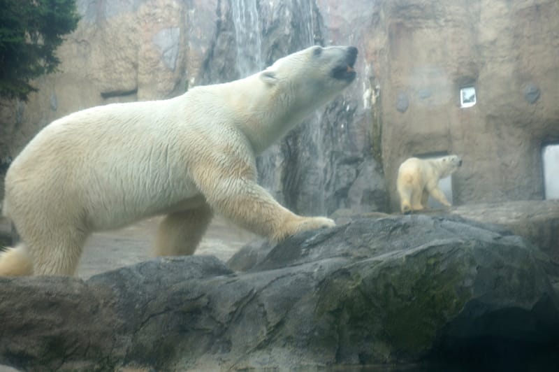 DSC04308.JPG DSC04308.JPG