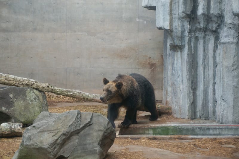 DSC04292.JPG DSC04292.JPG