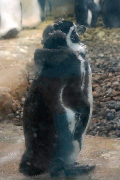 DSC04346.JPG DSC04346.JPG