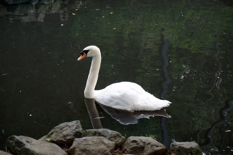 DSC04211.JPG DSC04211.JPG