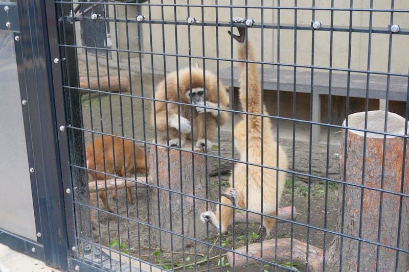 DSC04251.JPG DSC04251.JPG