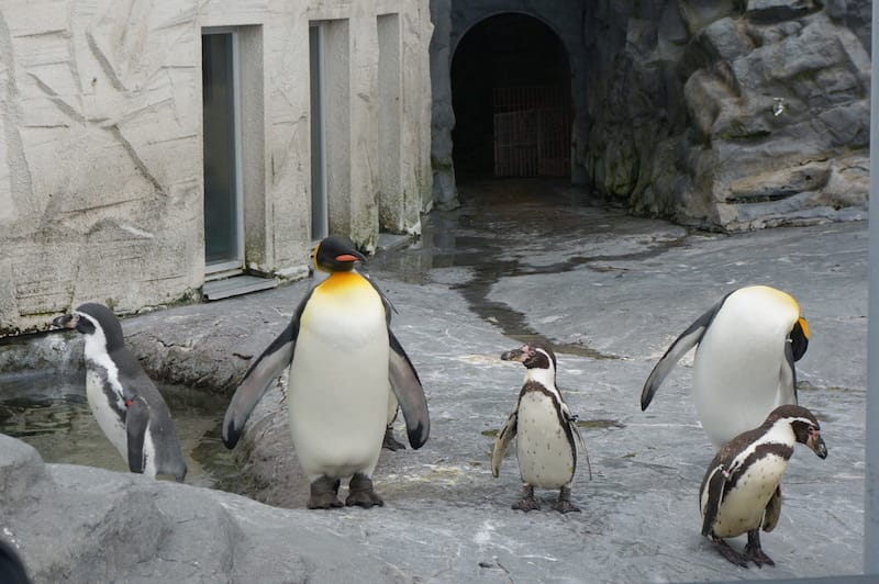 DSC04355.JPG DSC04355.JPG