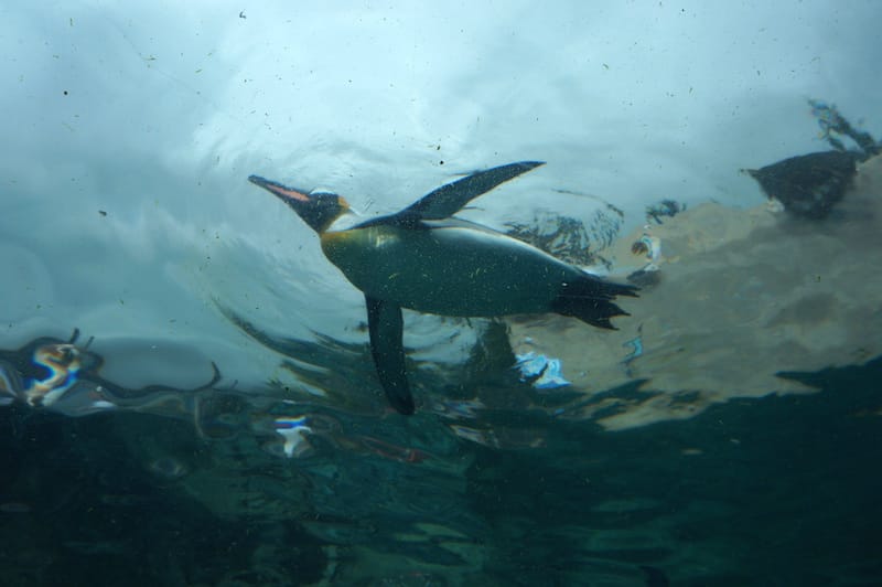 DSC04334.JPG DSC04334.JPG