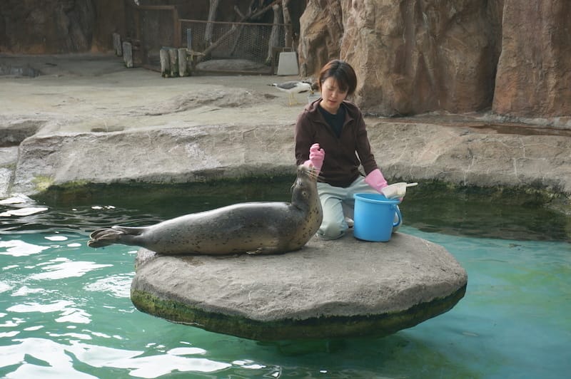 DSC04326.JPG DSC04326.JPG