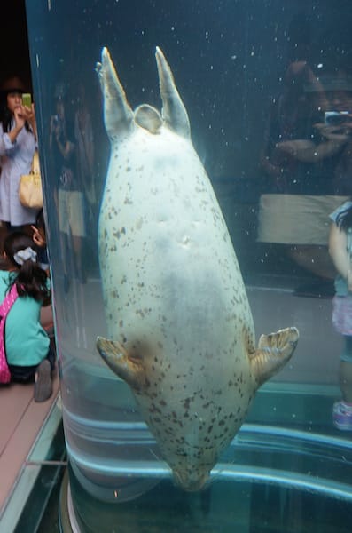 DSC04367.JPG DSC04367.JPG