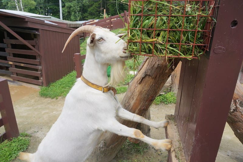 DSC04232.JPG DSC04232.JPG