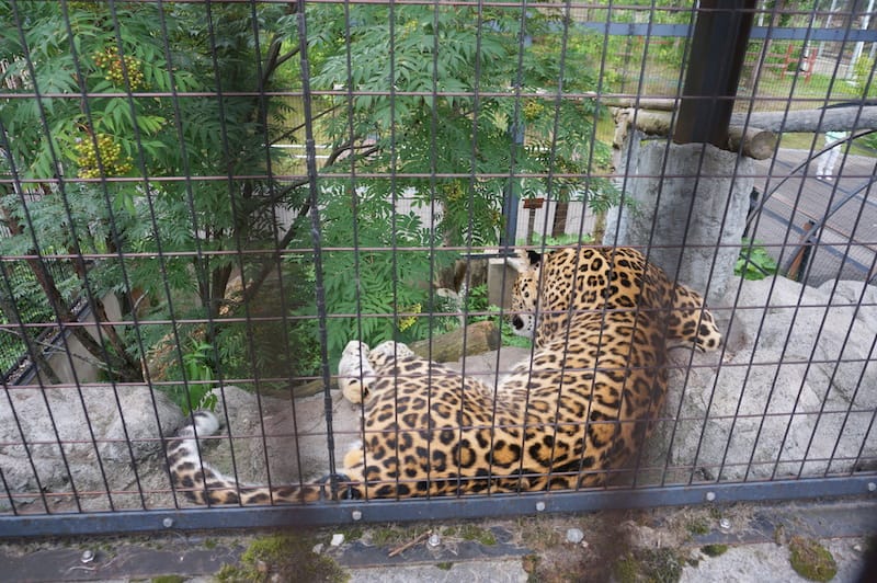 DSC04291.JPG DSC04291.JPG