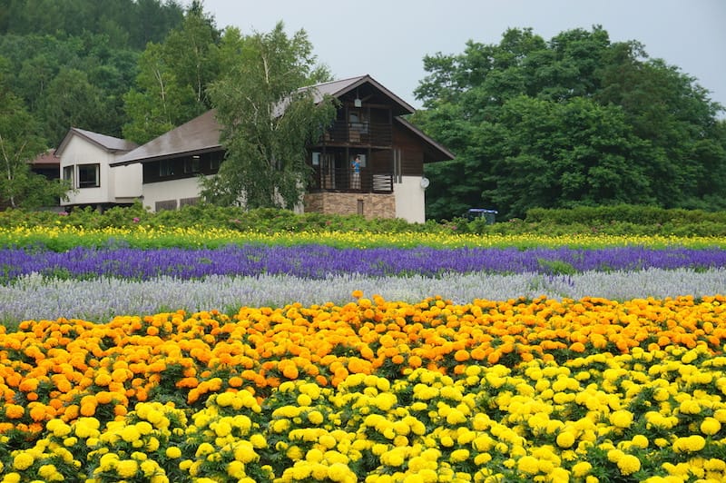 DSC04569.JPG DSC04569.JPG