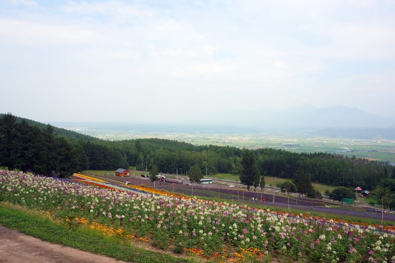 DSC04752.JPG DSC04752.JPG