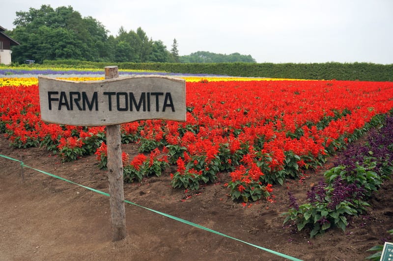 DSC04552.JPG DSC04552.JPG