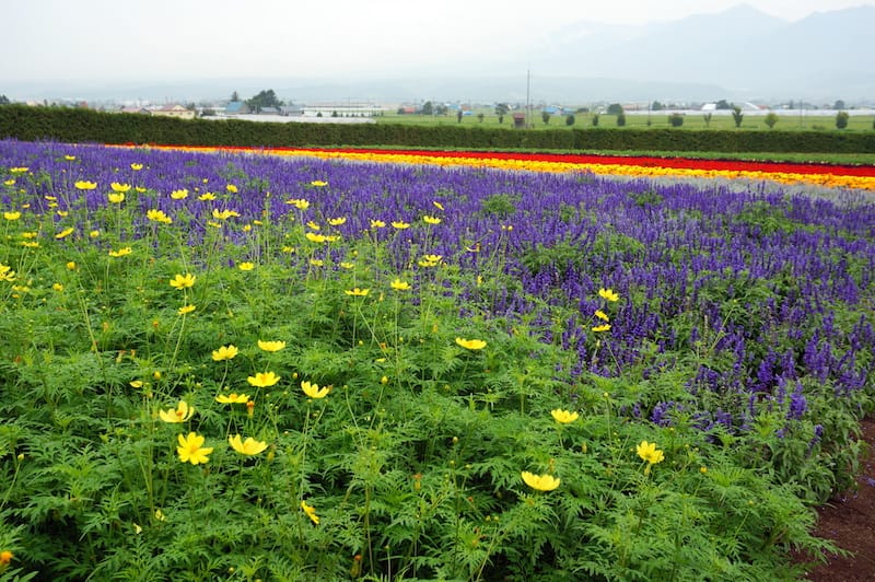 DSC04543.JPG DSC04543.JPG