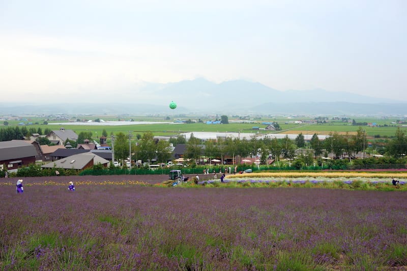 DSC04459.JPG DSC04459.JPG