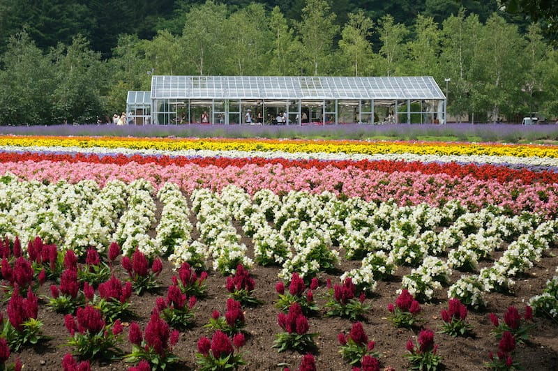 DSC04622.JPG DSC04622.JPG