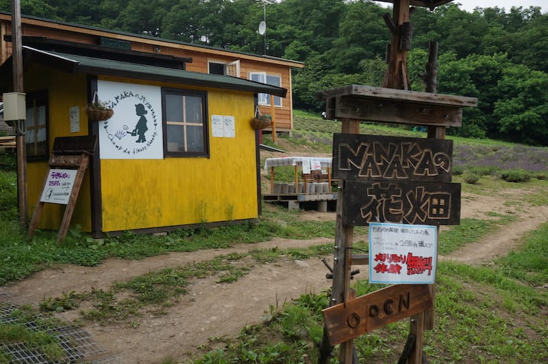 DSC04806.JPG DSC04806.JPG