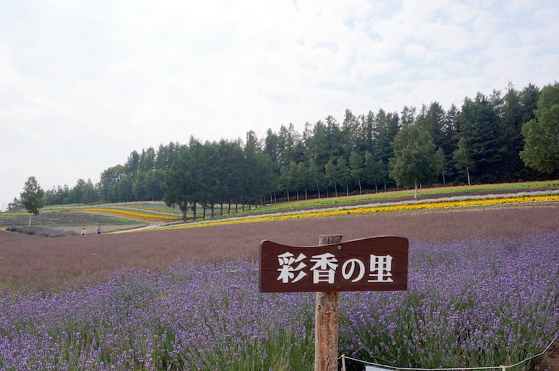 DSC04792.JPG DSC04792.JPG