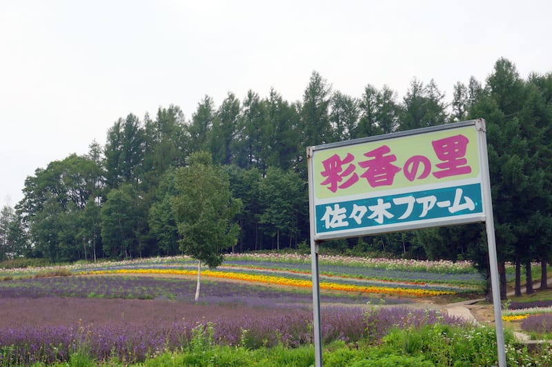 DSC04665.JPG DSC04665.JPG