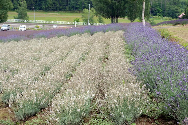 DSC04708.JPG DSC04708.JPG