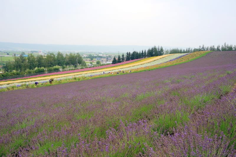 DSC04457.JPG DSC04457.JPG