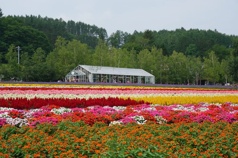 DSC04649.JPG DSC04649.JPG