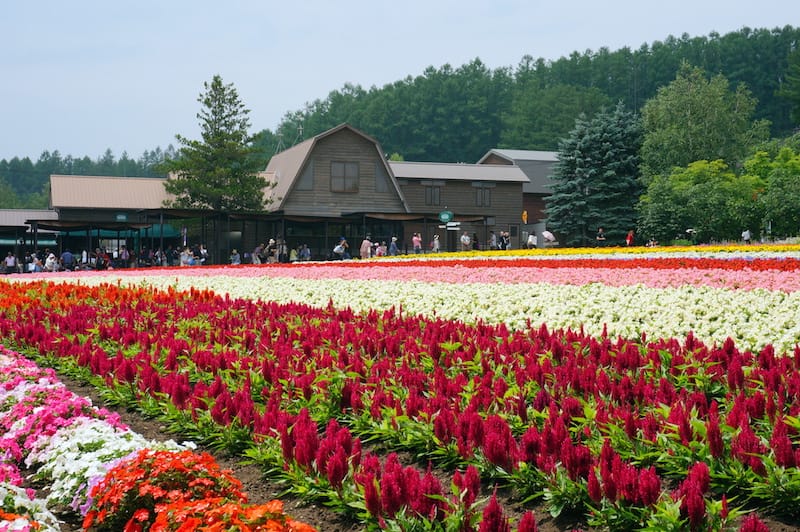 DSC04623.JPG DSC04623.JPG